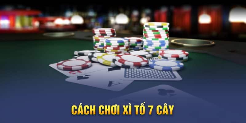 Tất tần tật về cách chơi bài xì tố 7 cây dễ hiểu